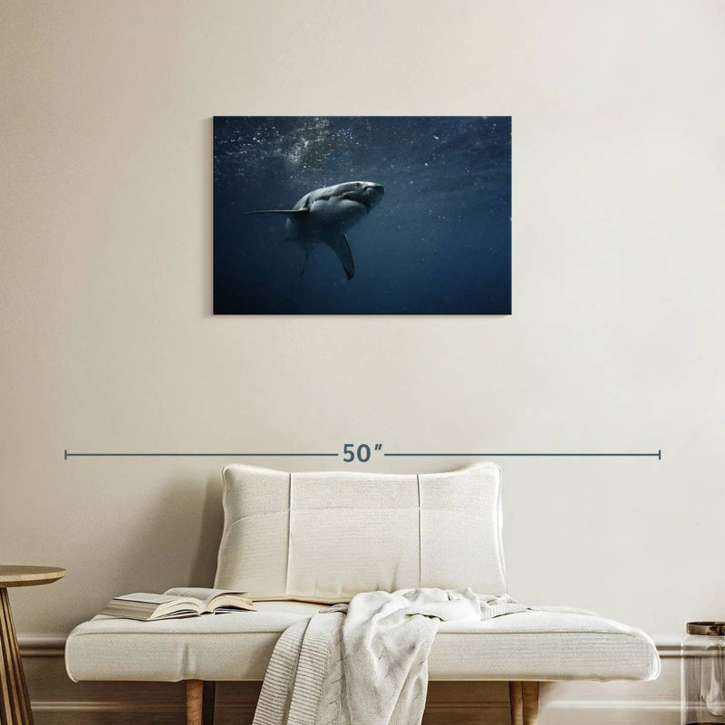 Brampt Great White Shark