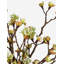 Arrangement de fleurs de cerisier Timeless Living