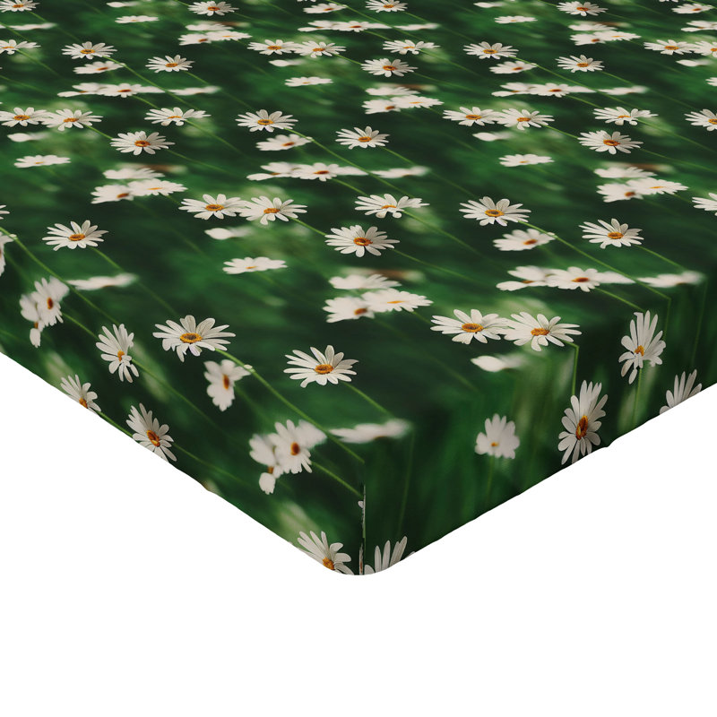 Drap-housse de camomille Ambesonne, Drap-housse de taille très grand