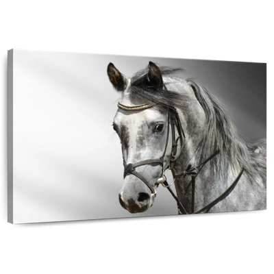 Brampt Monochromatic Arabian Horse