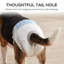 Dog Diaper