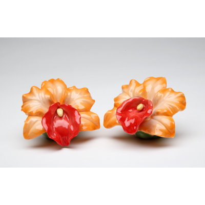 Ensemble de sel et poivre orange cosmos gifts