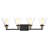 4 - Light Vanity Light