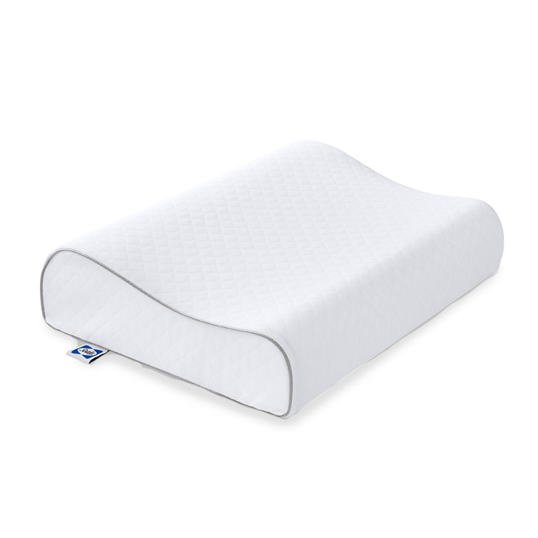 Sleep Innovations Contour Memory Foam Pillow, Standard Size, Cervical  Support Pillow for Sleeping, 5-Year Warranty