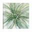Macro Sage Flower Ii by Carol Robinson - Wrapped Canvas Painting-1411745527