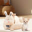 Lit pour animaux Eliashiv