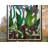 Plants & Flowers Window Panel
