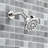 Ignite Spot 2.5 GPM Five-Function 3 3/4 in. Diameter Spray Head Wallmount-262555664