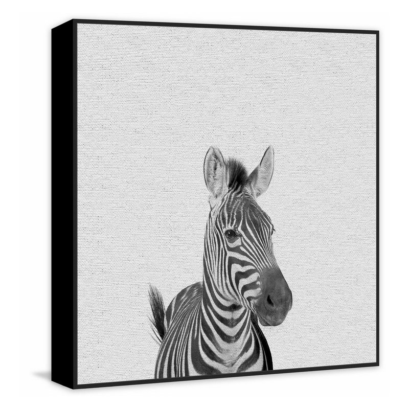 Gazing Zebra - Drawing on Canvas, 45cm H x 45cm W x 3.81cm D