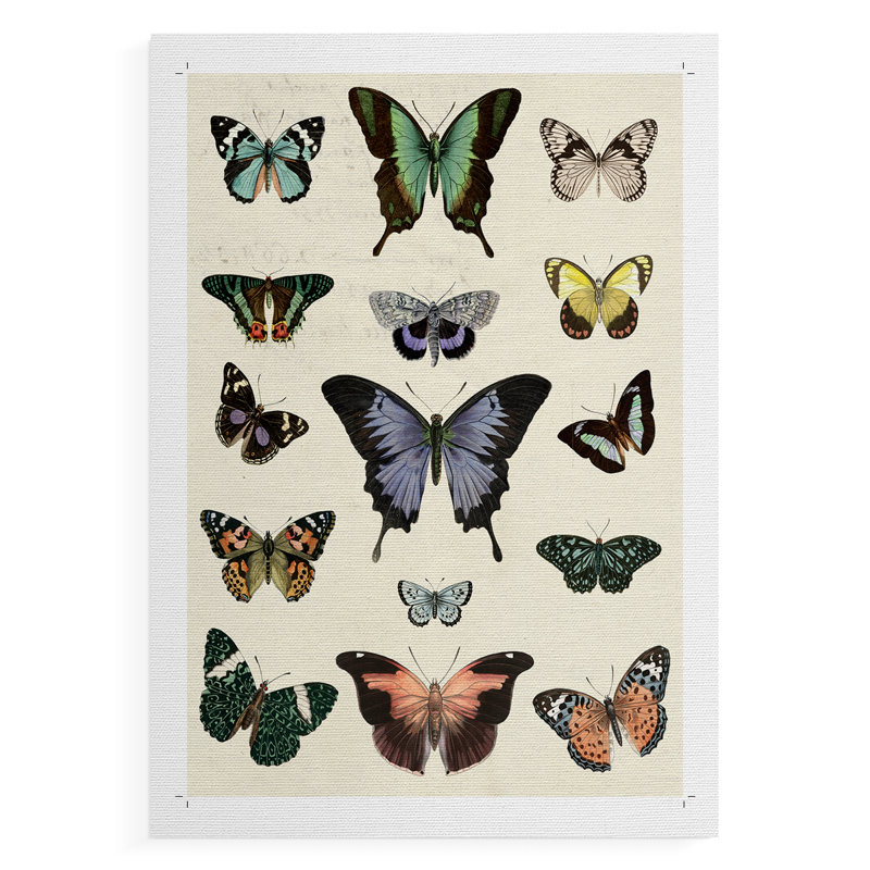 Flutterbys II - impression sur toile seulement - non encadrée, H 48 po x l 32 po