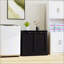 Armoire décorative Theddy-807665543