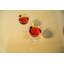 Vintner Martini Glass