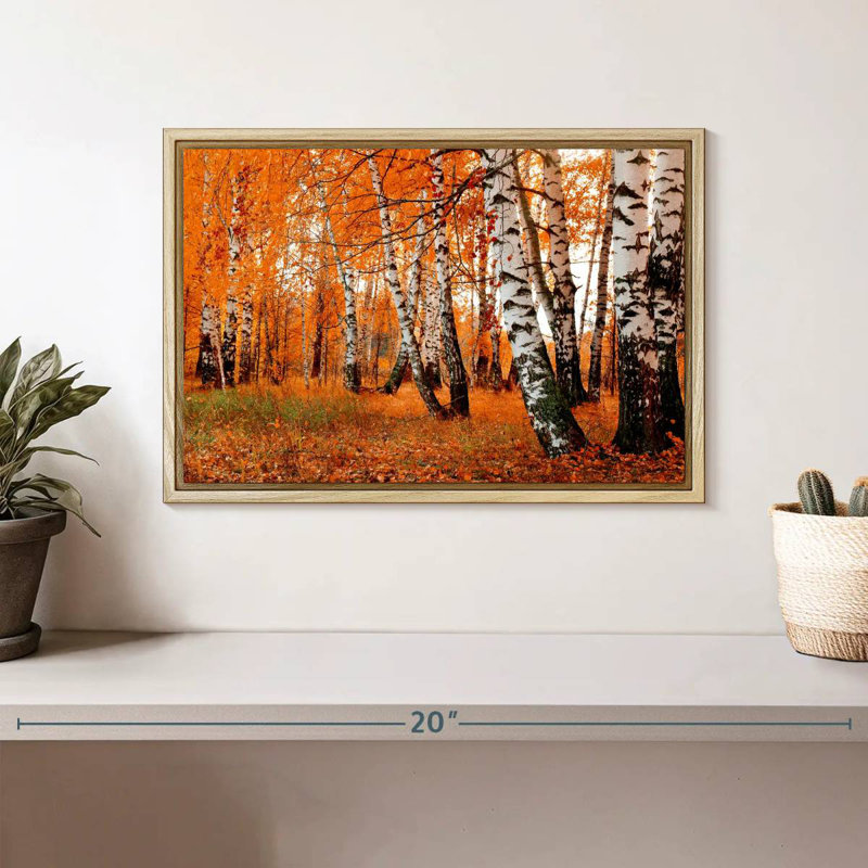 Forêt de bouleaux orange, Cadre flottant en bois naturel, 13 po x 9 po