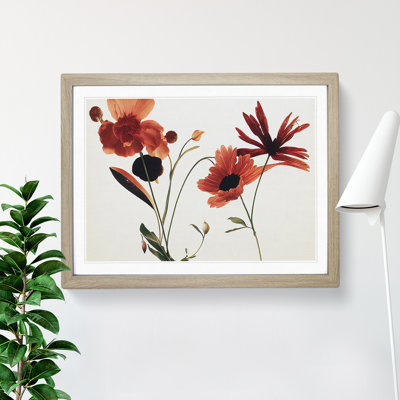 Entrancing Flowers - Framed Print