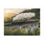 No Frame Print on Canvas-417197898