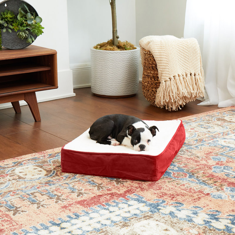 Lindholm Orthopedic Pillow Dog Bed, Crimson, Extra Small (24" W x 18" D x 4" H)