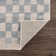 Wingard Contemporary Checkered Blue Area Rug
