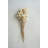  Bundle of 24 Bleached Bullet Flowers on Stems – 29"H