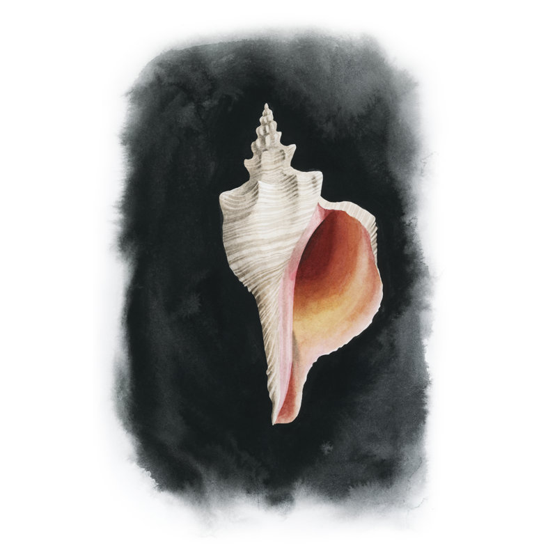 Conch On Black II - Painting, 122 cm H x 81 cm W, Black Floater Frame