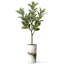 Arbre artificiel en fleur noire et blanche-104345530