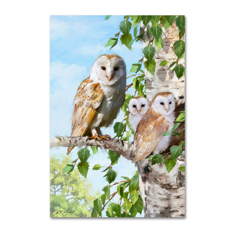 «Barn Owl Family» par Armand, reproduction sur toile, H 24 po x l 16 po x P 2 po
