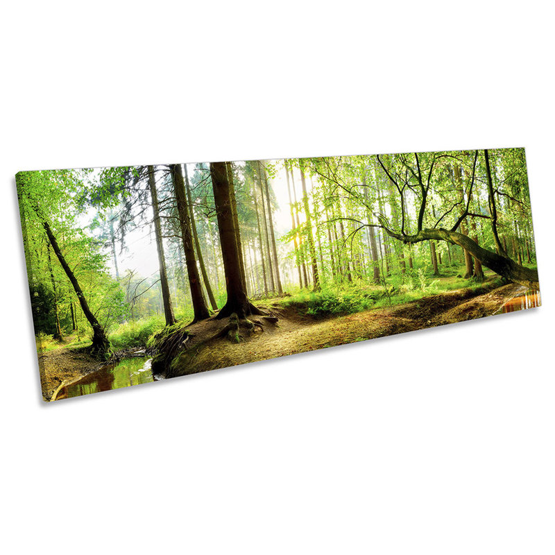 Forest Woodland Sunset - Wrapped Canvas Panoramic Print, 40.64cm H x 121.92cm W x 2cm D