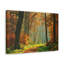 No Frame Print on Canvas