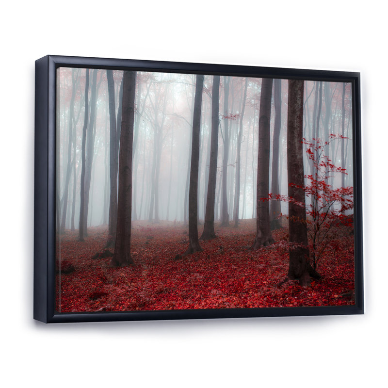 Foggy Morning Red Forest IV - décoration murale traditionnelle sur toile, H 12 po x l 8 po x P 1 po, Cadre flottant noir