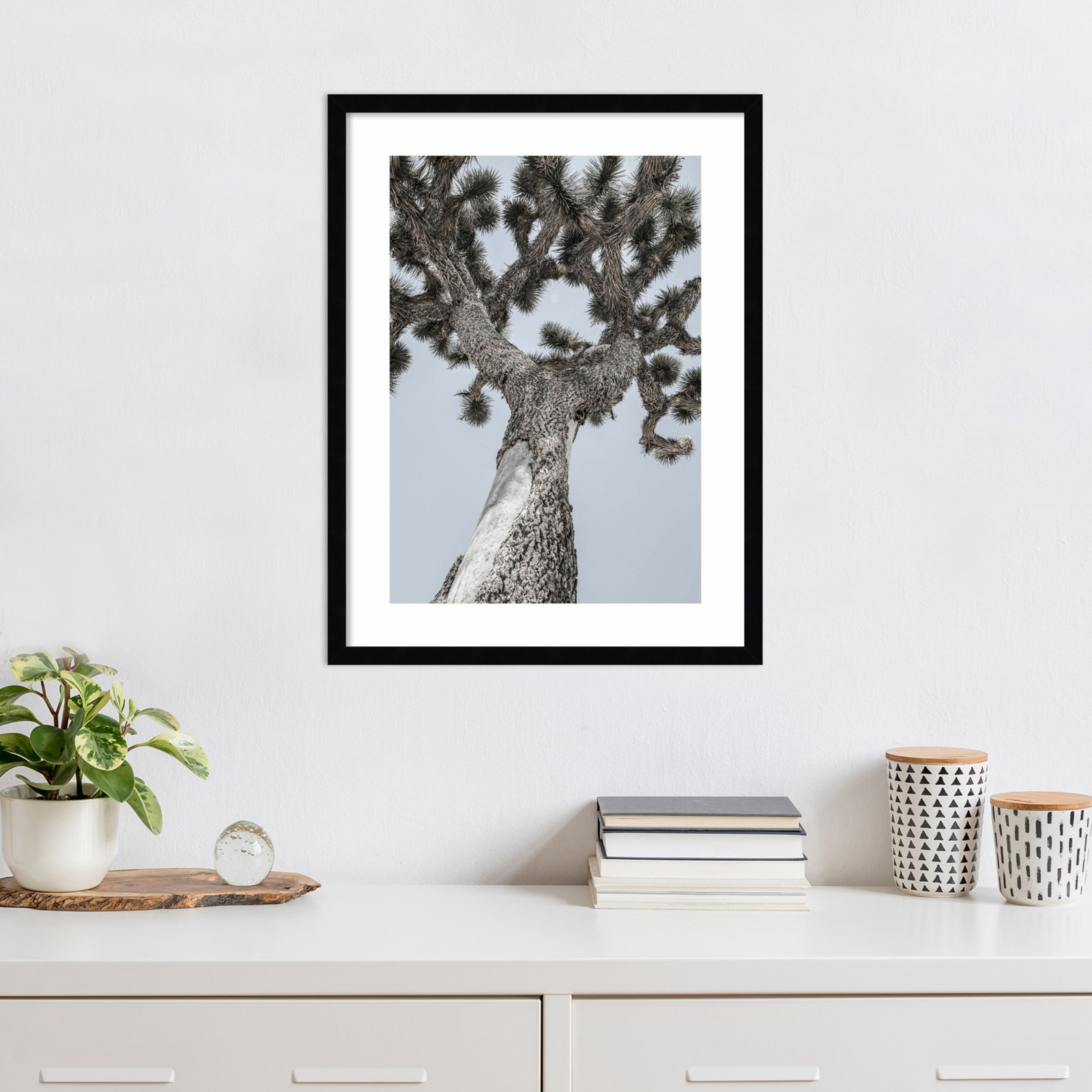 Daisey "Joshua" Print by Shot by Clint, Black , 25" H x 19" W