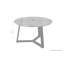 Angalee Coffee Table-1431178994