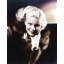 Art sur toile tendue avec galerie d'archives Lark Manor ™ Hollywood: Jean Harlow (64_488071)