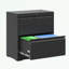 metal frame File Cabinet with 2 Drawers-1379131266