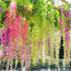 Guirlande de fleurs artificielles Wisteria-483720364