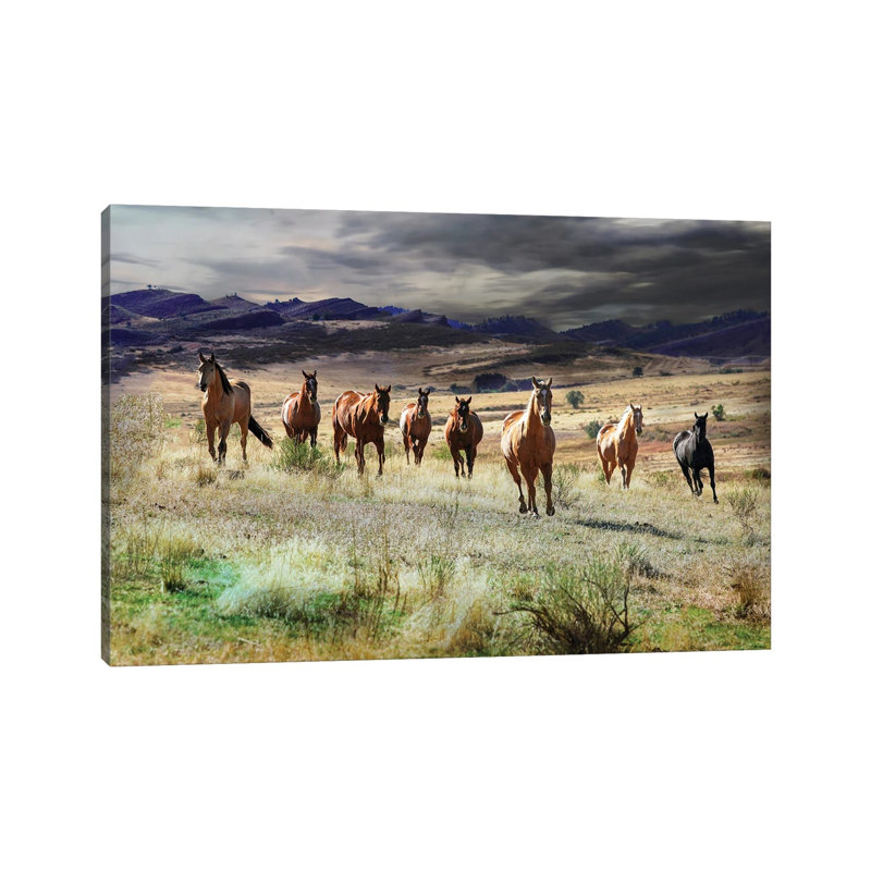 Storm Coming 1 Piece Wrapped Canvas Wall Art, 30.48 cm H x 45.72 cm W