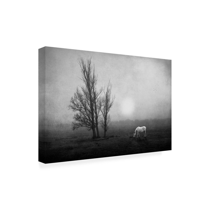 Art sur toile «Bolle Jose C. Lobato In The Moor», H 30 po x l 47 po