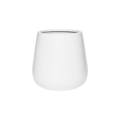 Pax M, blanc brillant