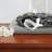 Microfiber Sheet Set-427045186-427045188