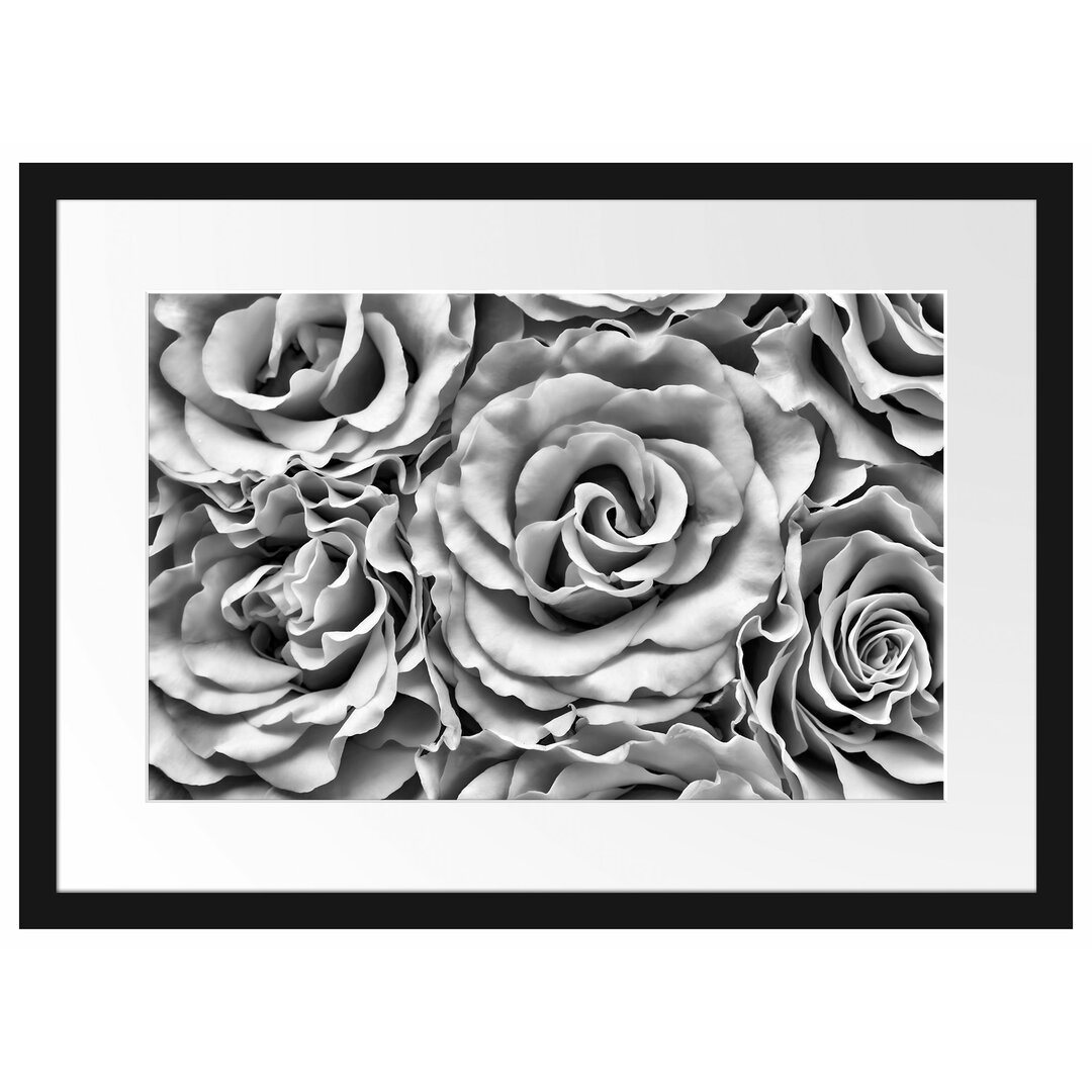 Gerahmtes Poster Blumen Rosen Blumenmeer