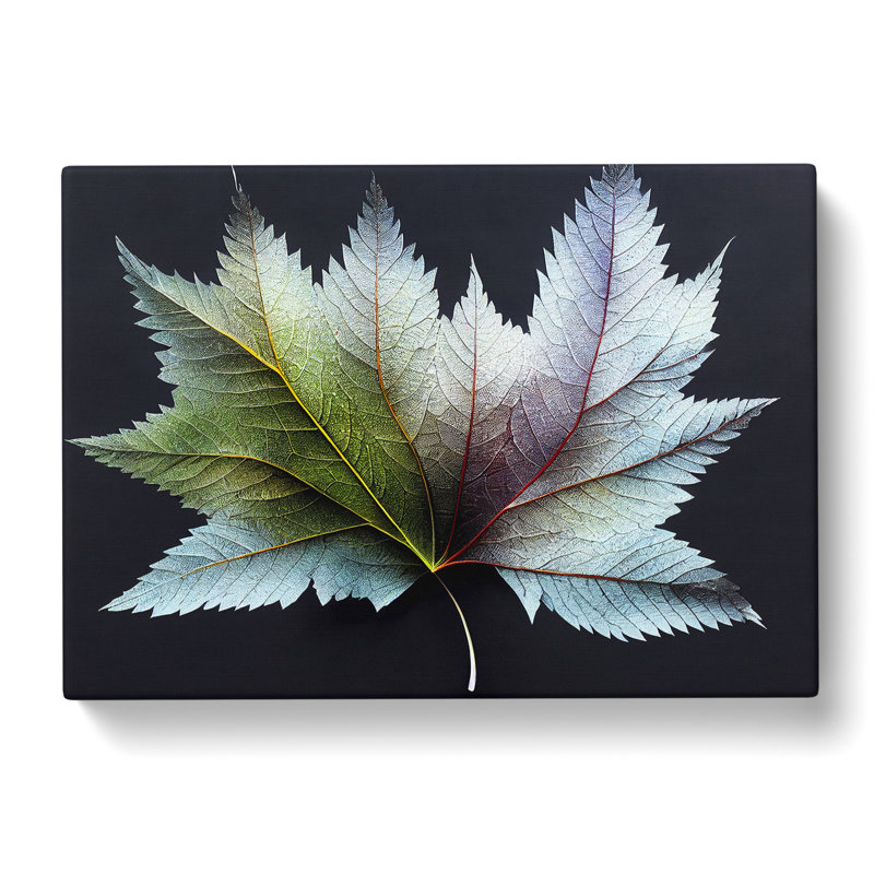 Royal Leaf - Wrapped Canvas, 35cm H x 50cm W x 3cm D