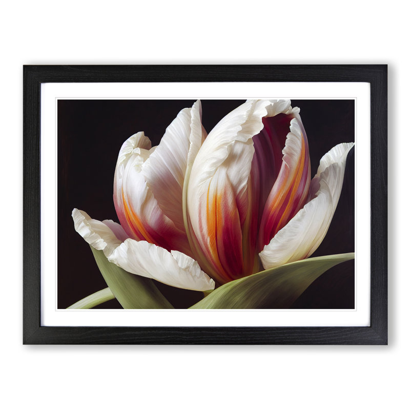 Feisty Flower - Single Picture Frame Print, Black, 25cm H x 34cm W x 2cm D