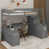 Grey est en rupture de stock