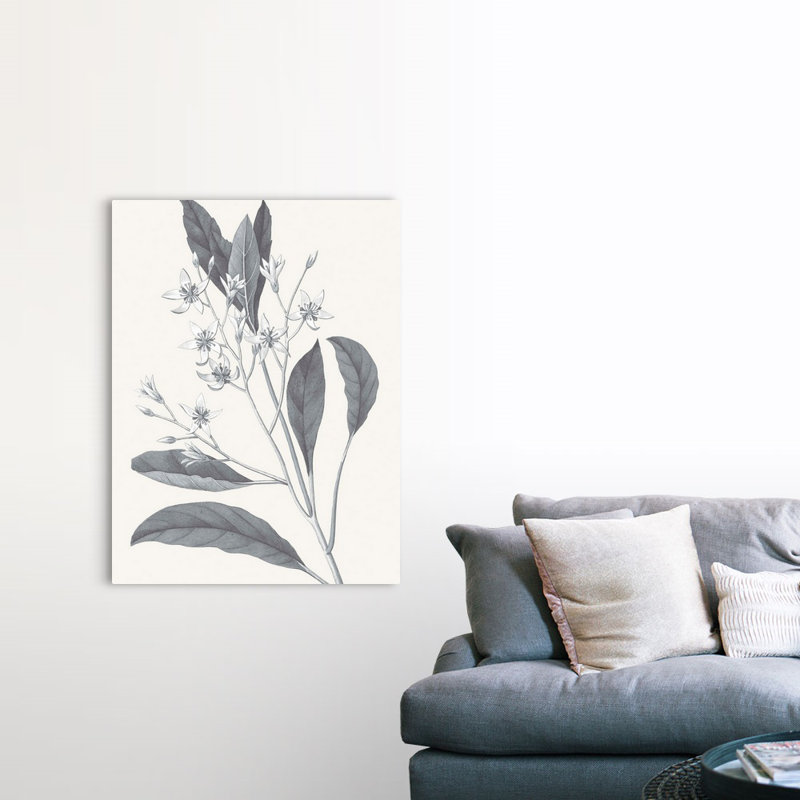 «Neutral Botanical V», art mural sur toile, Toile tendue, H 48 po x l 36 po x P 1 po