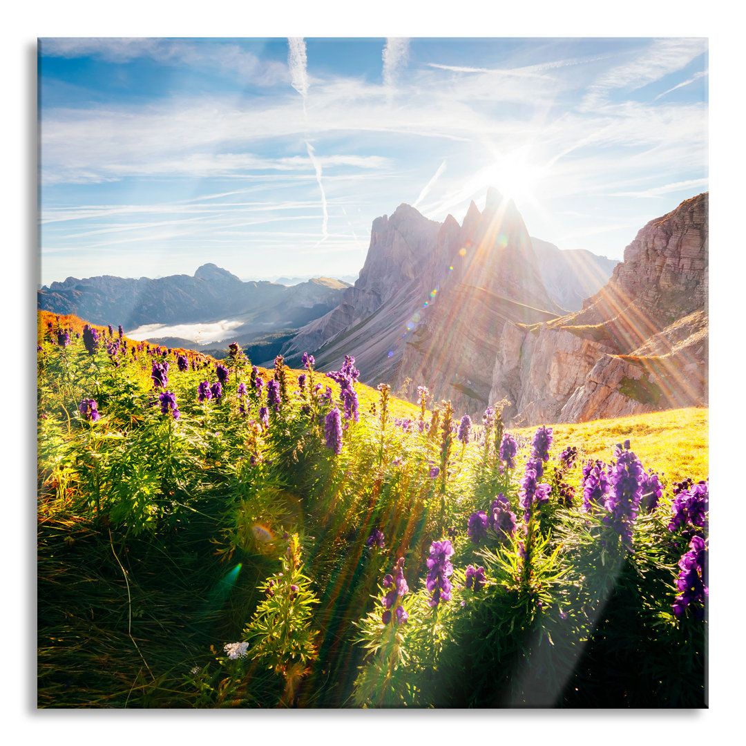 Glasbild Bergwiese im Puez-Geisler Naturpark