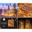 LED Indoor / Outdoor String Lights-186542884-186542883