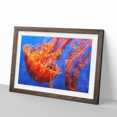 Jellyfish Vol.2 - Picture Frame Painting