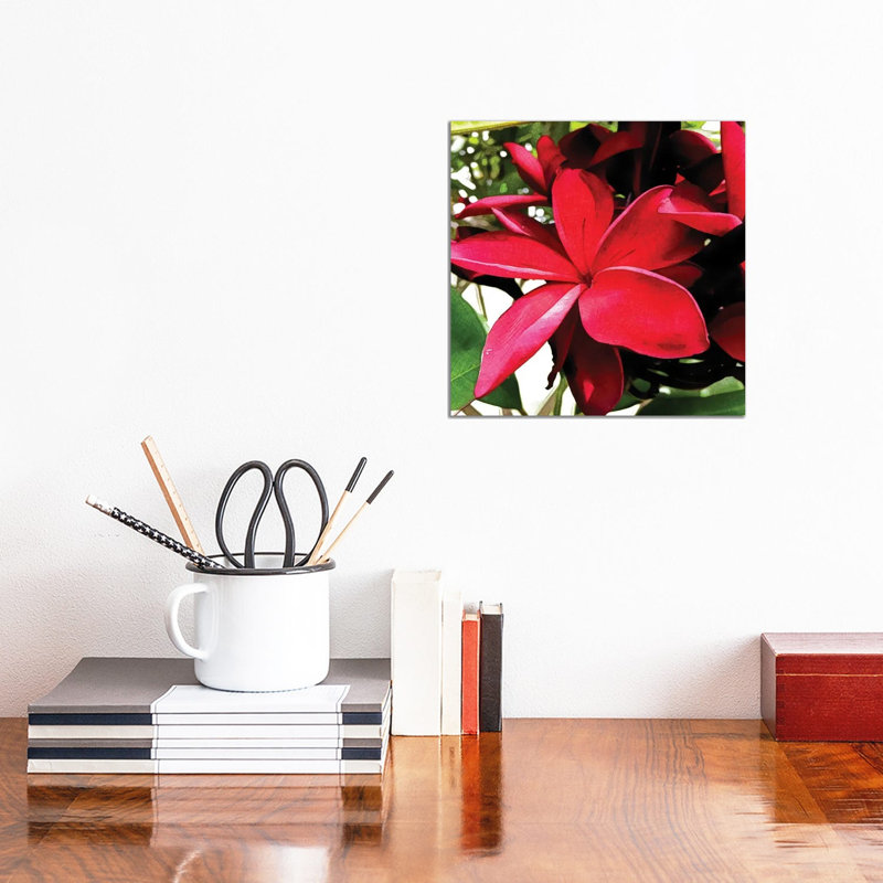 White Peony In Spring by Heidi Bannon - Wrapped Canvas Print, 30.48 cm H x 30.48 cm W