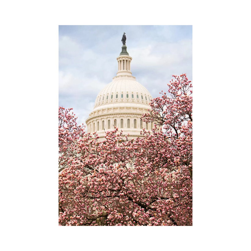 Cherry Blossoms At The Capitol Building by Susan Schmitz - Wrapped Canvas Gallery-Wrapped Canvas Giclée