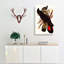 Banksian Cockatoo by Elizabeth Gould - Wrapped Canvas-55363493