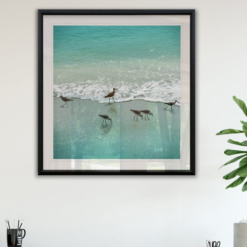 Sandpiper Beach Party - Impression de cadre photo sur papier, H 30,5 po x l 30,5 po x P 1,5 po
