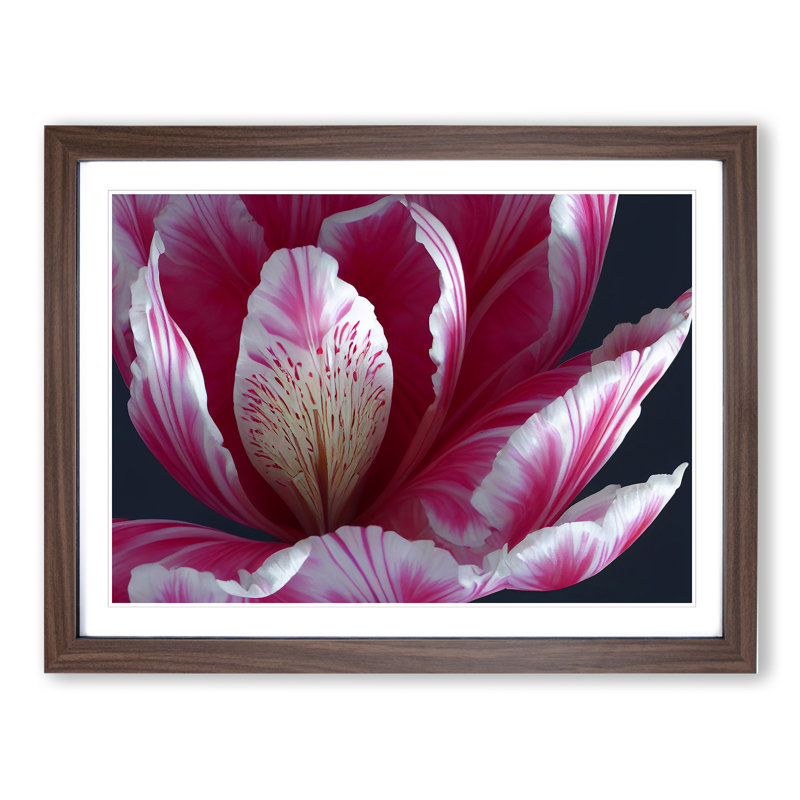 Enlightening Flower - Single Picture Frame Print, 46cm H x 64cm W x 2cm D, Walnut Framed